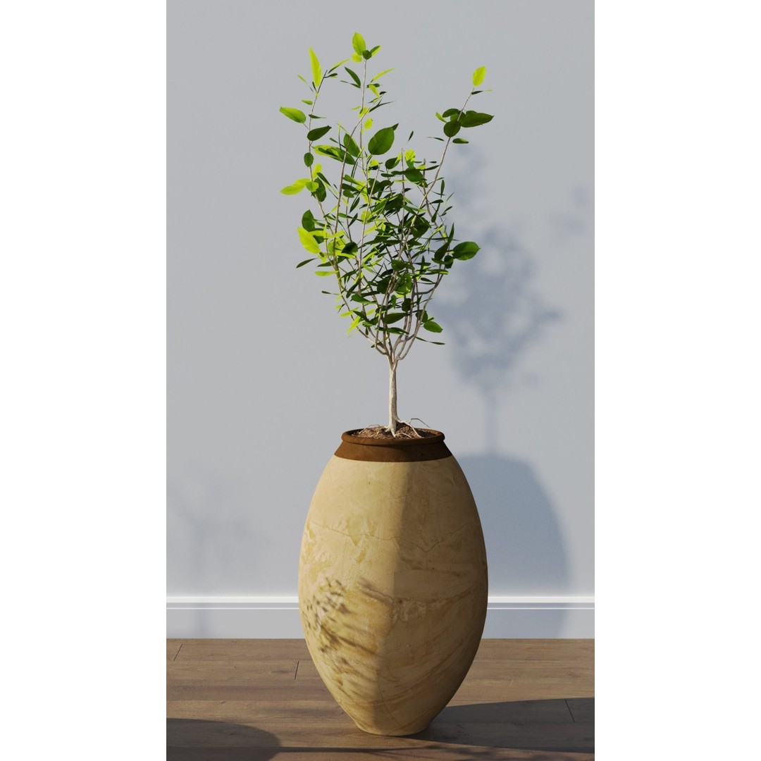 Potted Plants 3D Model – Hi-Poly Collection with PBR Textures, FBX & OBJ - View 6