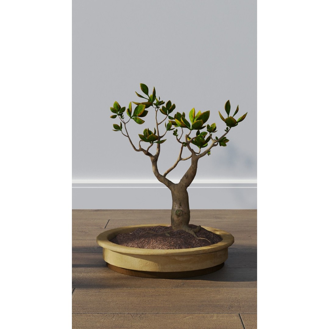 Potted Plants 3D Model – Hi-Poly Collection with PBR Textures, FBX & OBJ - View 7
