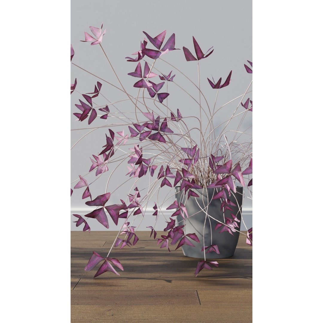 Potted Plants 3D Model – Hi-Poly Collection with PBR Textures, FBX & OBJ - View 8
