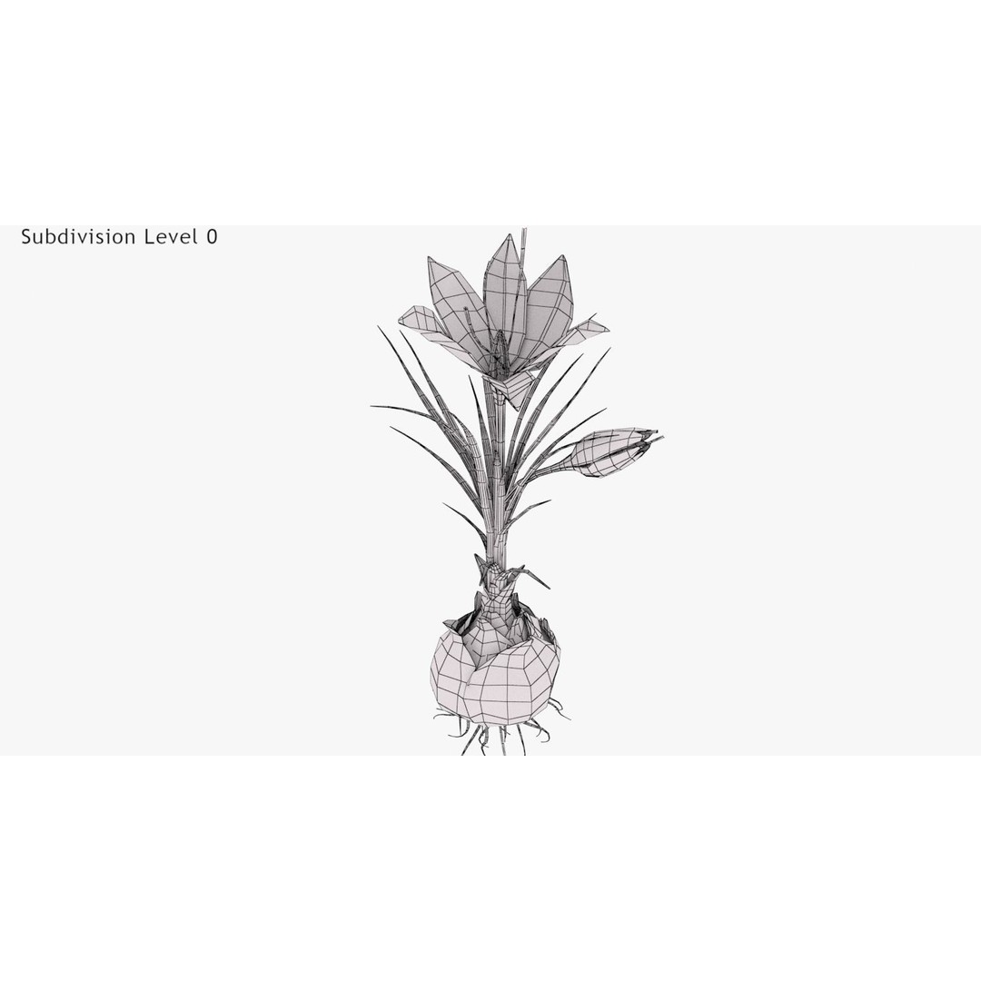 Plant Part 3D Model – Low Poly Flower Asset with PBR Textures - View 13