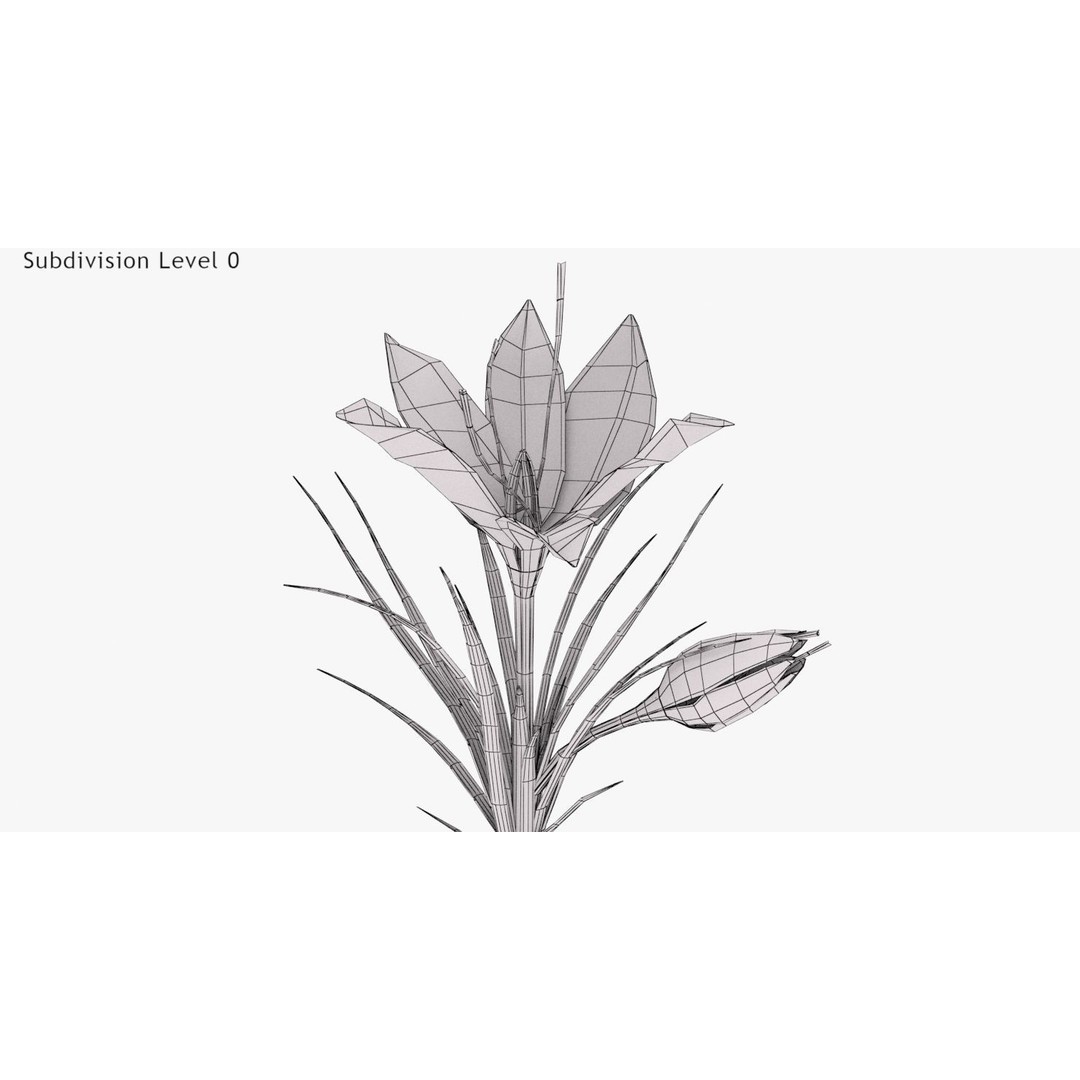Plant Part 3D Model – Low Poly Flower Asset with PBR Textures - View 14