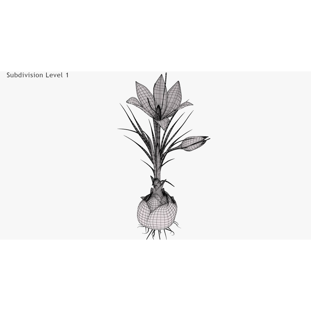 Plant Part 3D Model – Low Poly Flower Asset with PBR Textures - View 17