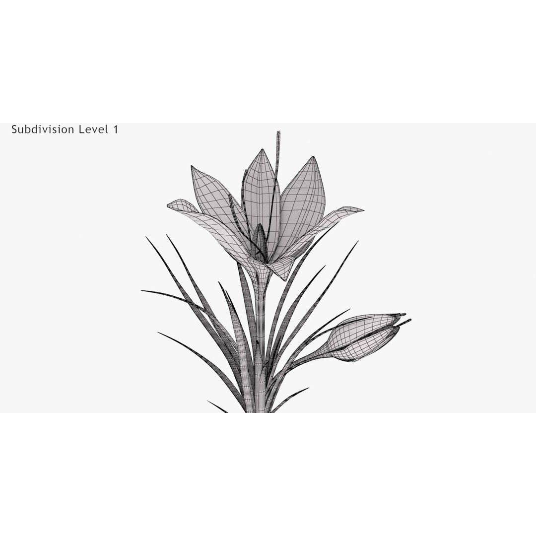 Plant Part 3D Model – Low Poly Flower Asset with PBR Textures - View 18