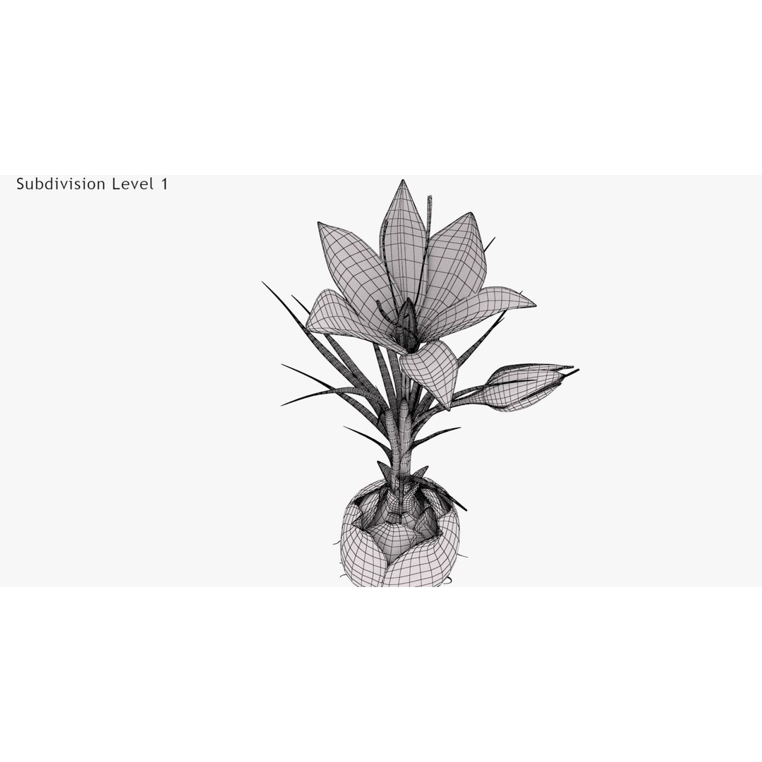 Plant Part 3D Model – Low Poly Flower Asset with PBR Textures - View 19