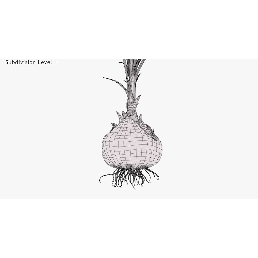 Plant Part 3D Model – Low Poly Flower Asset with PBR Textures - View 20