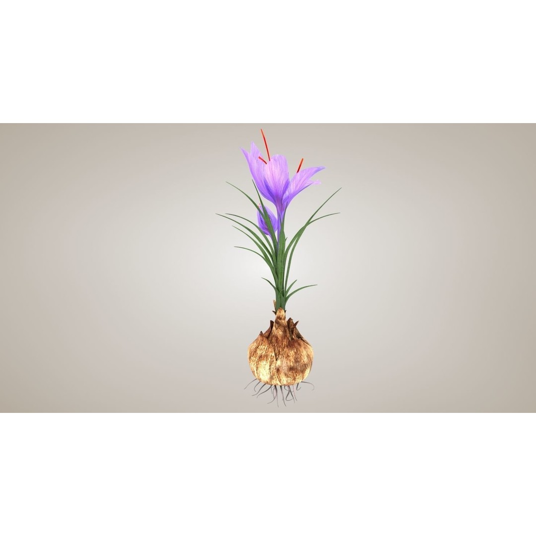 Plant Part 3D Model – Low Poly Flower Asset with PBR Textures - View 7