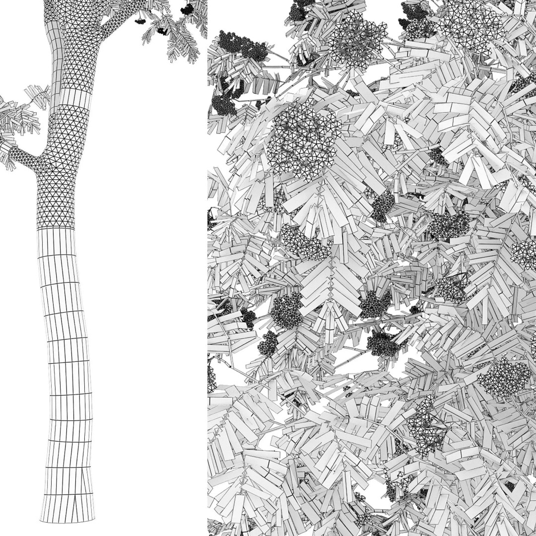 Rowan Tree 3D Model – High Poly Plant Asset with Textures