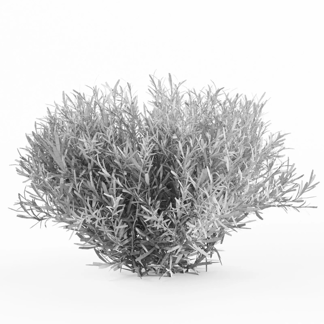 Lavender Bush 3D Model – Unique Forms for Landscape Visualization - View 4