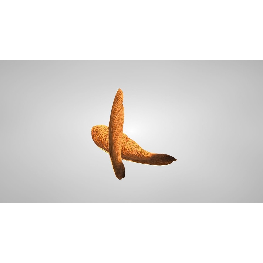 Maple Seed 3D Model – Low Poly PBR Asset, FBX & OBJ Formats - View 14