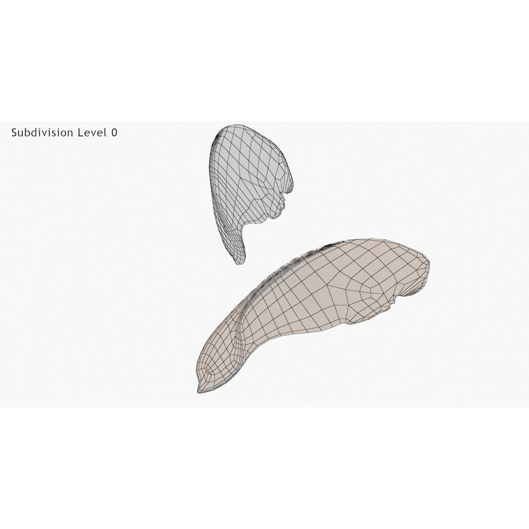 Maple Seed 3D Model – Low Poly PBR Asset, FBX & OBJ Formats - View 17