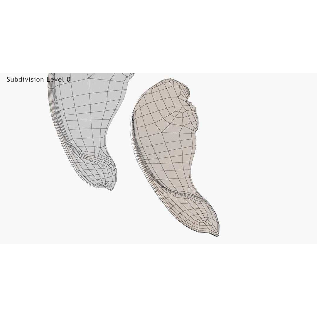 Maple Seed 3D Model – Low Poly PBR Asset, FBX & OBJ Formats - View 19