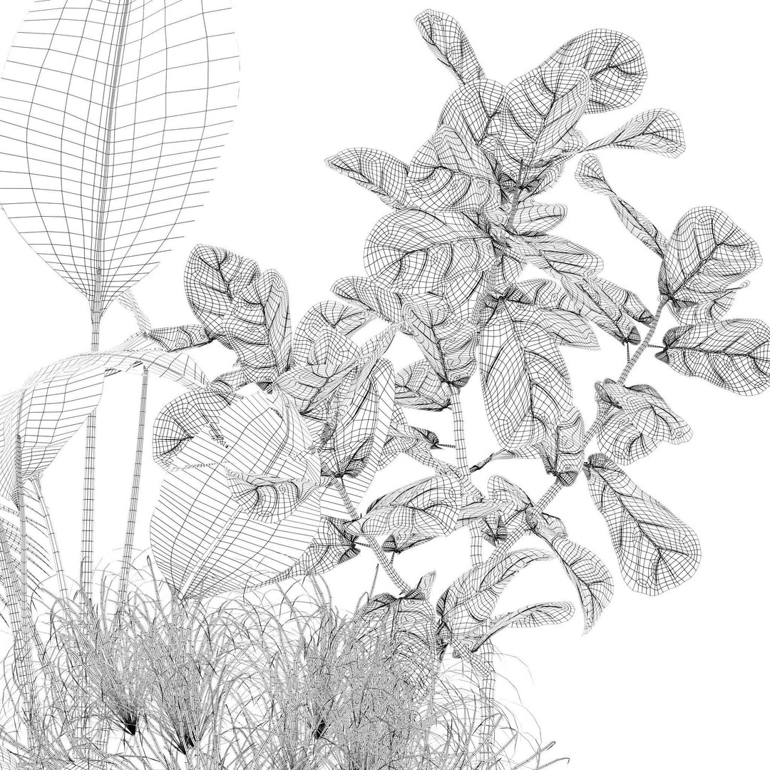 Plants 3D Model – Detailed Collection, PBR Textures, FBX, OBJ - View 18