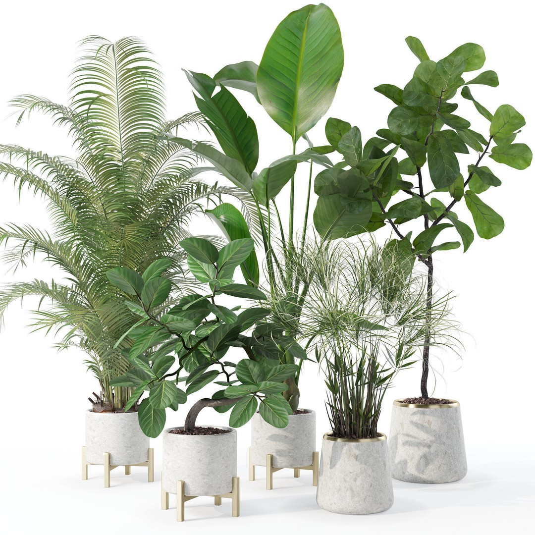 Plants 3D Model – Detailed Collection, PBR Textures, FBX, OBJ - View 21