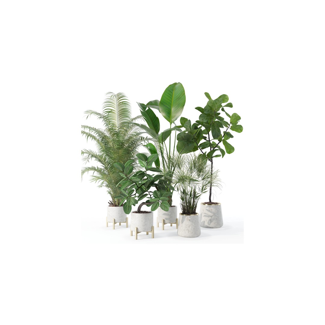 Plants 3D Model – Detailed Collection, PBR Textures, FBX, OBJ - View 22