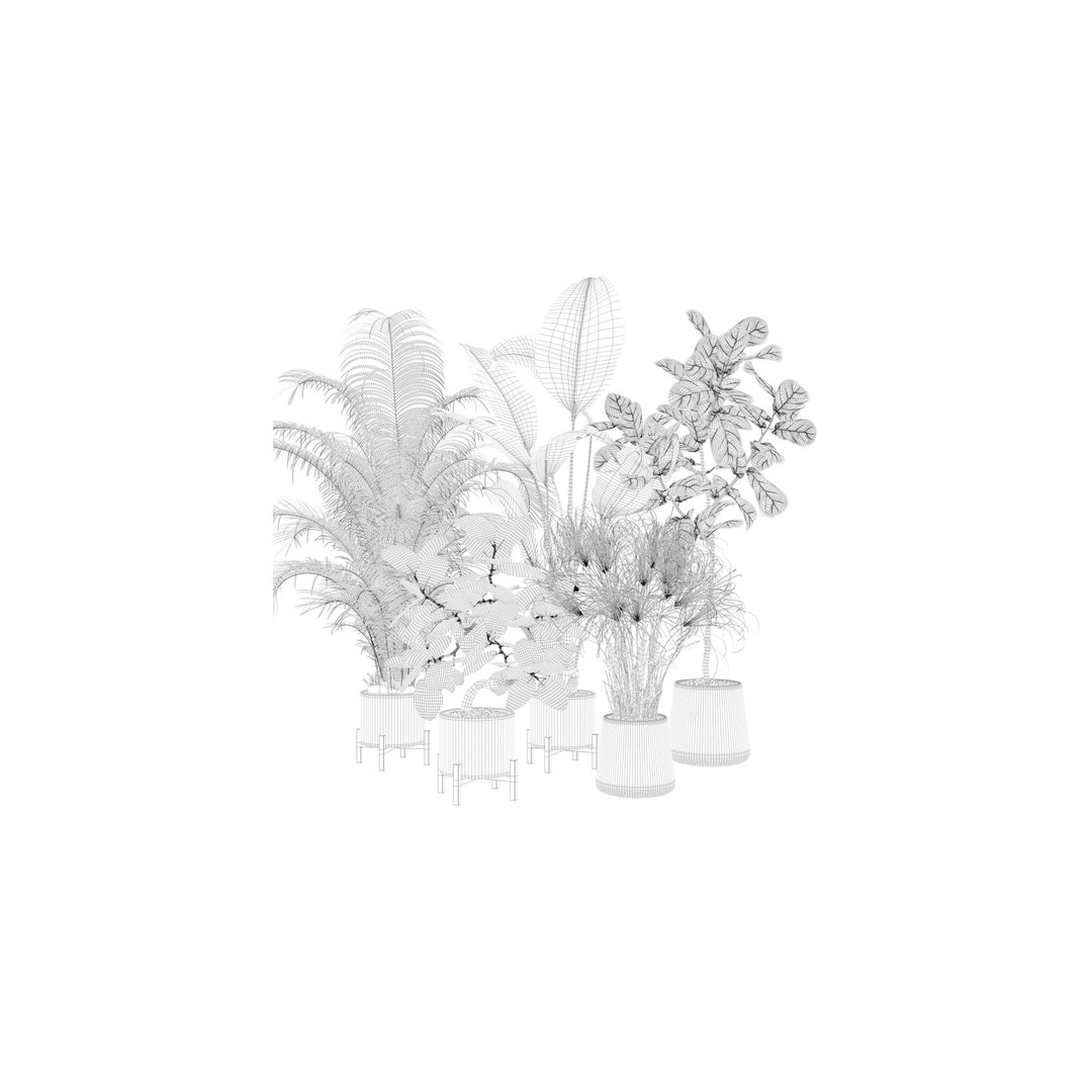 Plants 3D Model – Detailed Collection, PBR Textures, FBX, OBJ - View 24