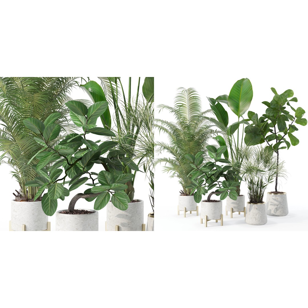 Plants 3D Model – Detailed Collection, PBR Textures, FBX, OBJ - View 26