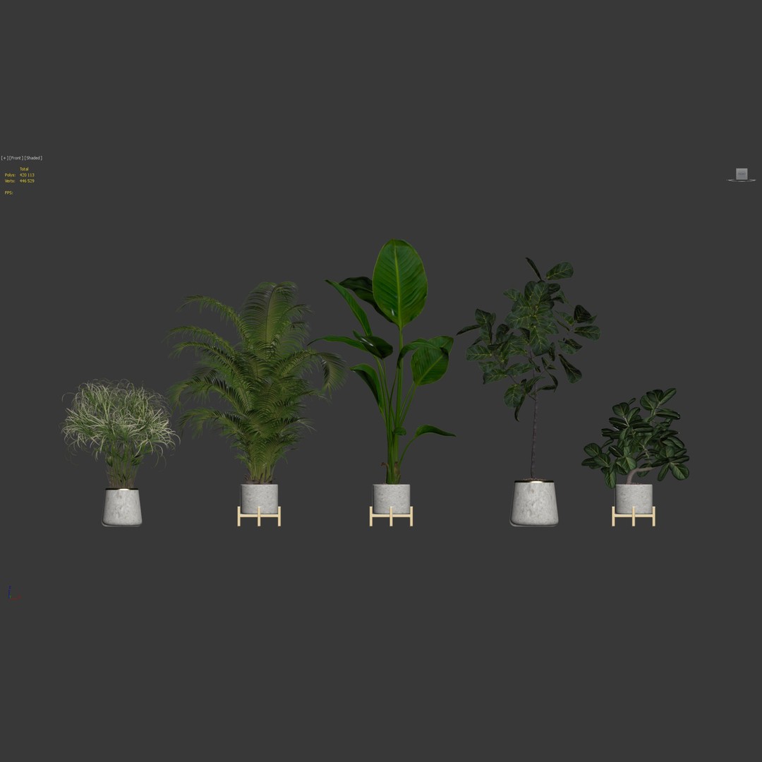 Plants 3D Model – Detailed Collection, PBR Textures, FBX, OBJ - View 27