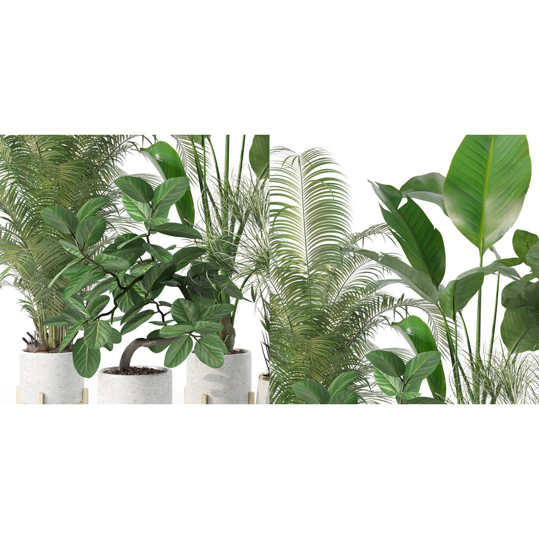 Plants 3D Model – Detailed Collection, PBR Textures, FBX, OBJ - View 5