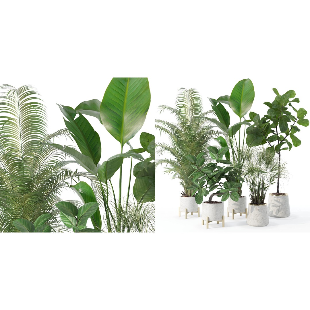 Plants 3D Model – Detailed Collection, PBR Textures, FBX, OBJ - View 6