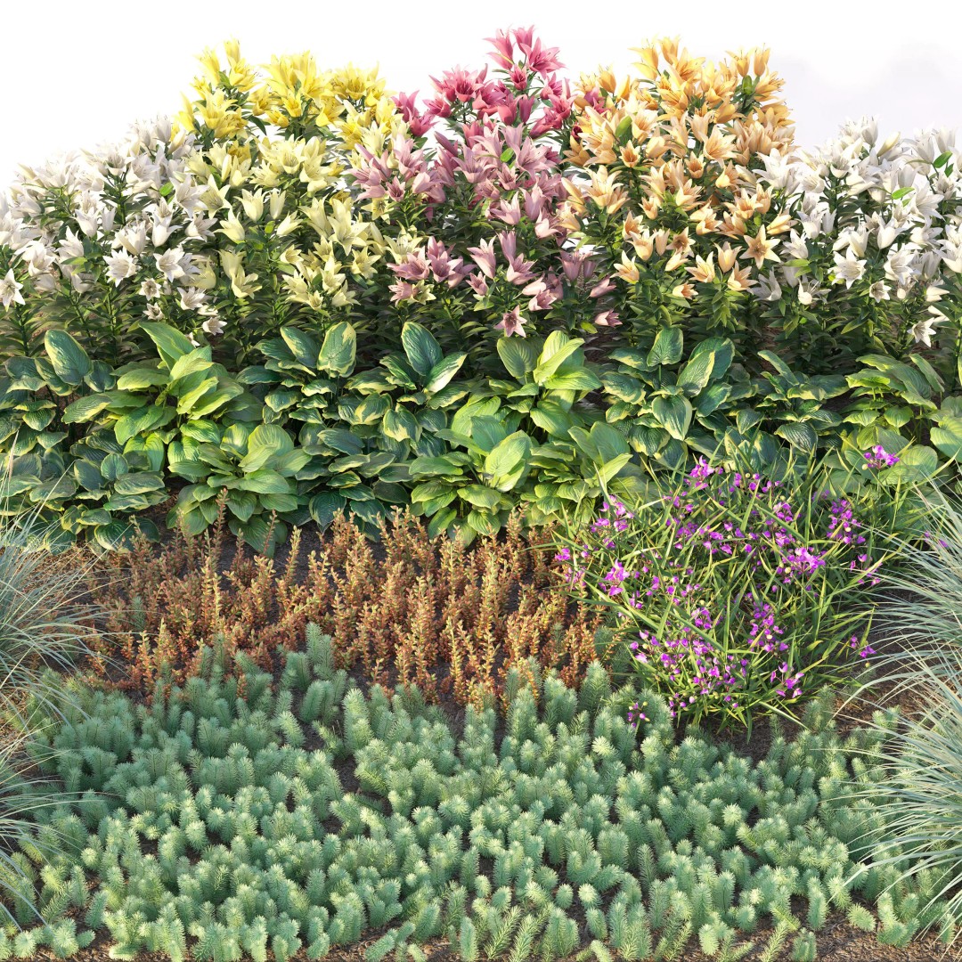 Flower Bed 3D Model – Realistic Garden Asset with PBR Textures - View 3
