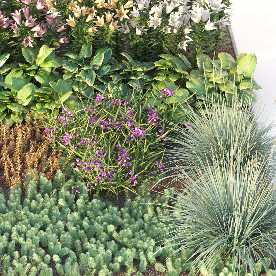 Flower Bed 3D Model – Realistic Garden Asset with PBR Textures - View 4