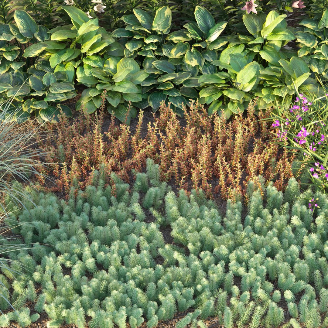 Flower Bed 3D Model – Realistic Garden Asset with PBR Textures - View 5