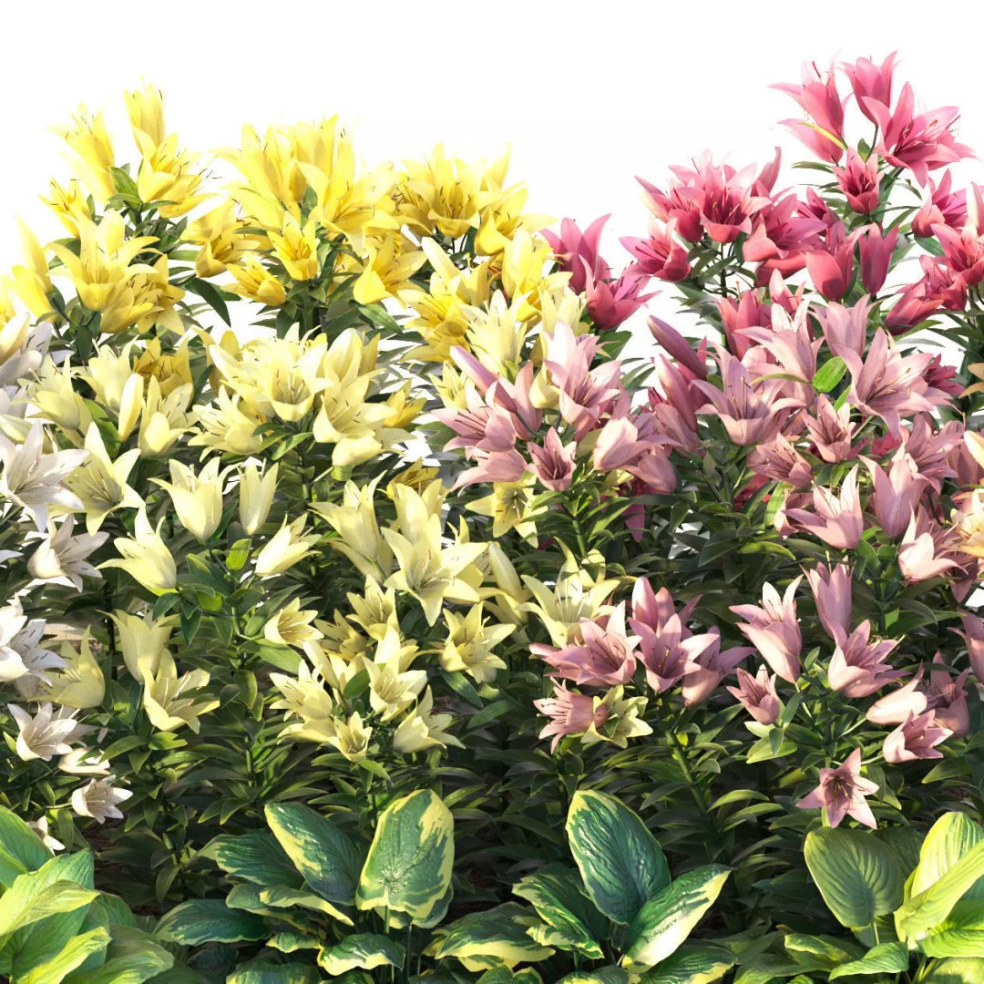 Flower Bed 3D Model – Realistic Garden Asset with PBR Textures - View 7
