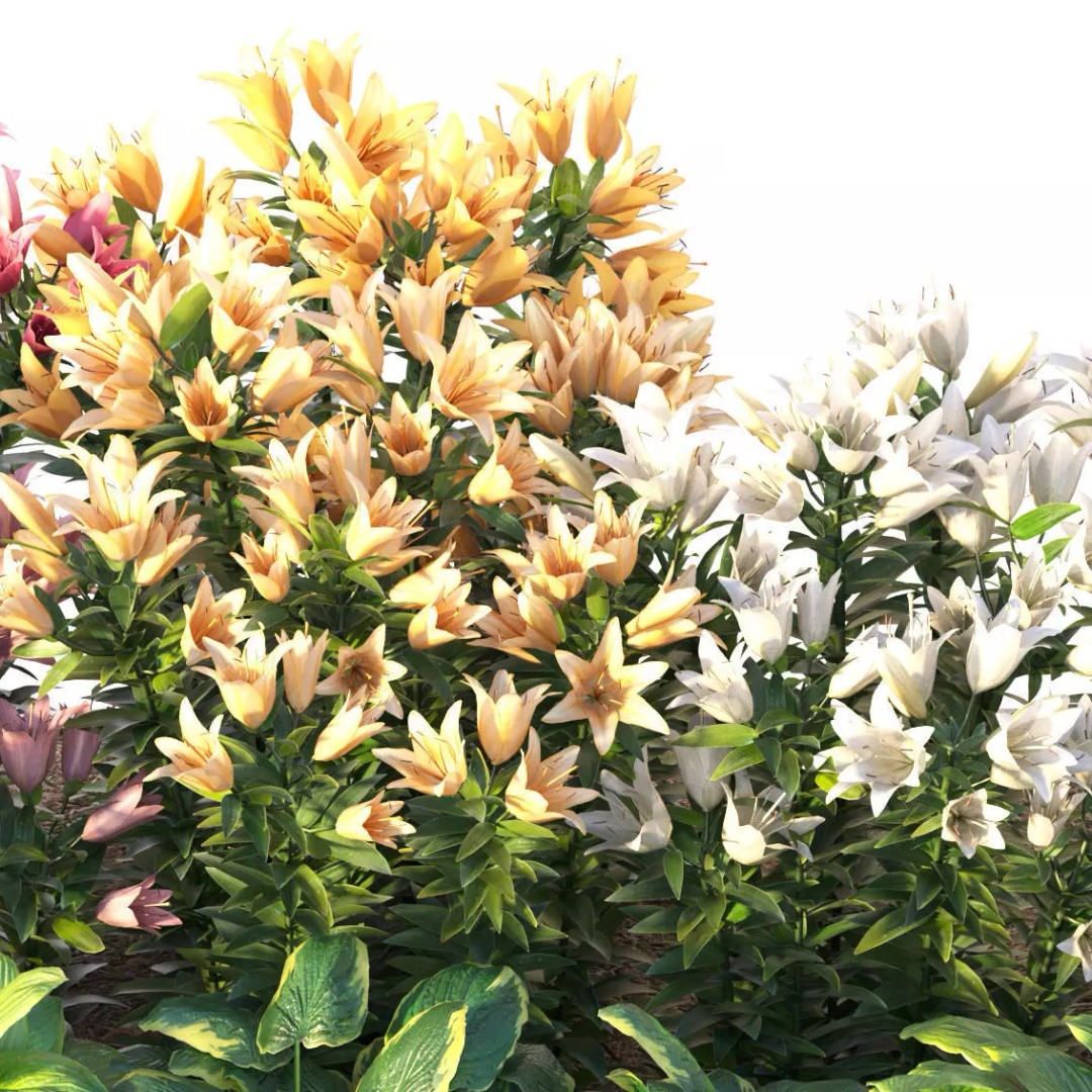 Flower Bed 3D Model – Realistic Garden Asset with PBR Textures - View 8