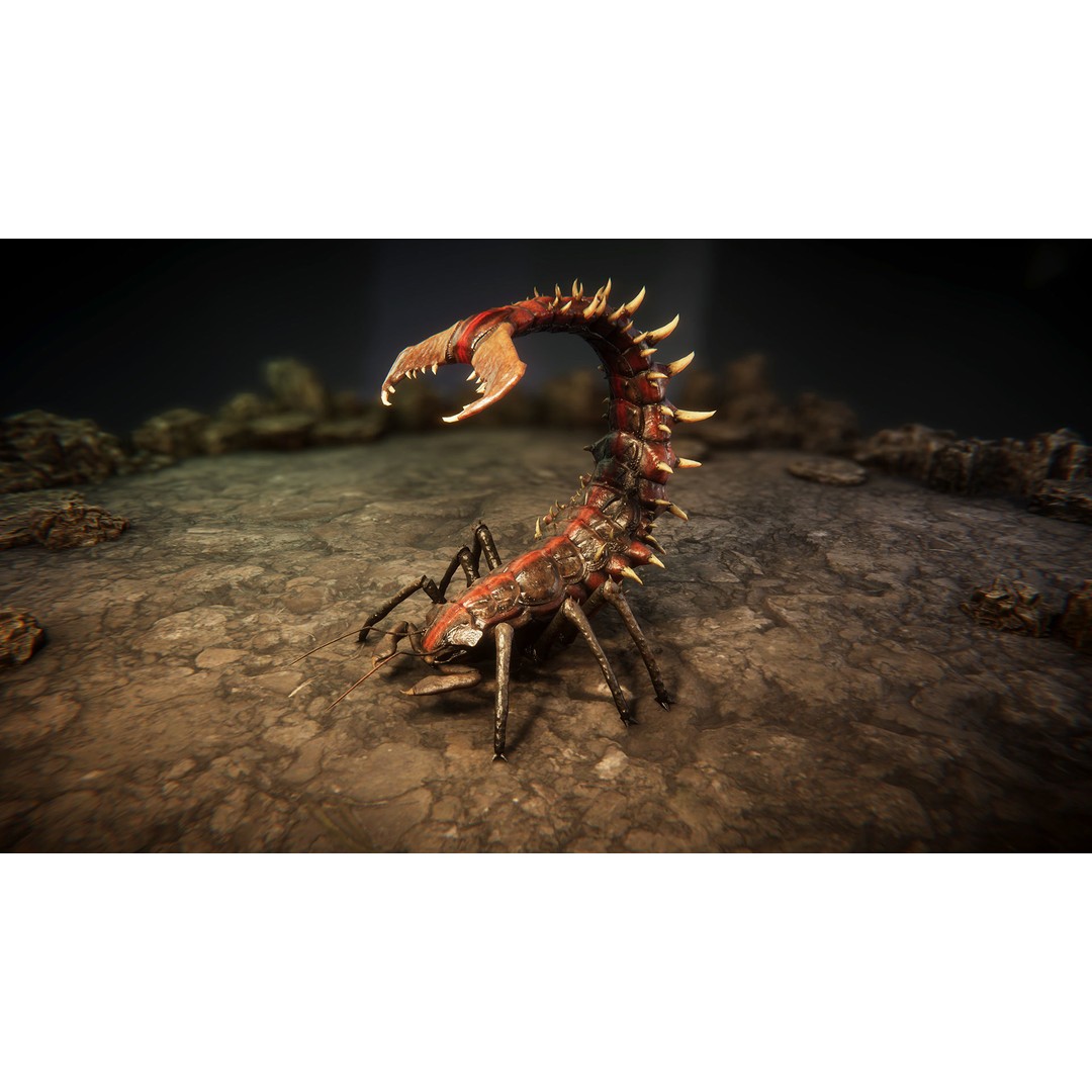 Insect Beasts 3D Model – Low Poly Animated Creatures, FBX - View 10