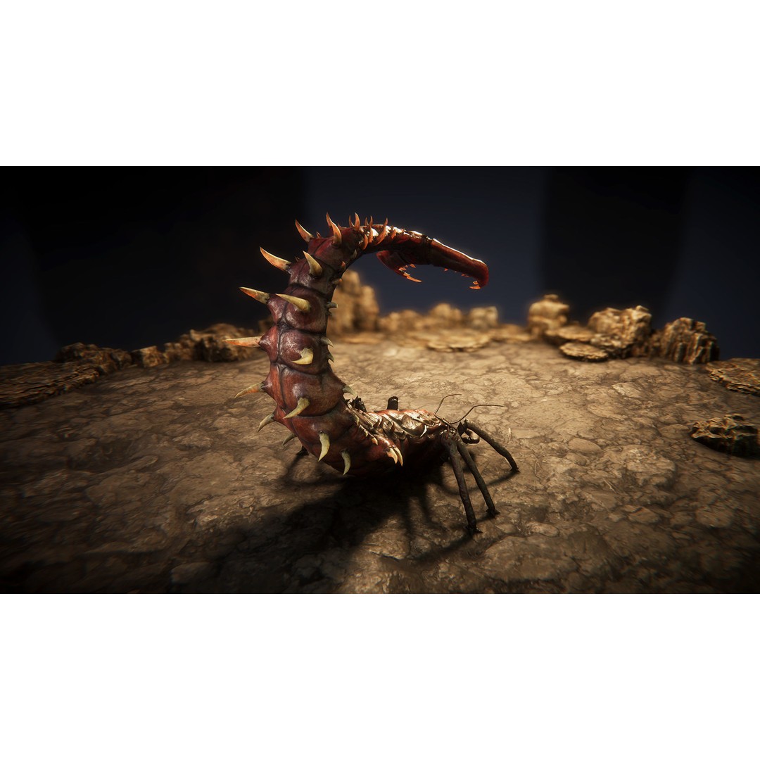 Insect Beasts 3D Model – Low Poly Animated Creatures, FBX - View 11
