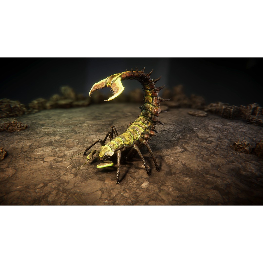 Insect Beasts 3D Model – Low Poly Animated Creatures, FBX - View 12