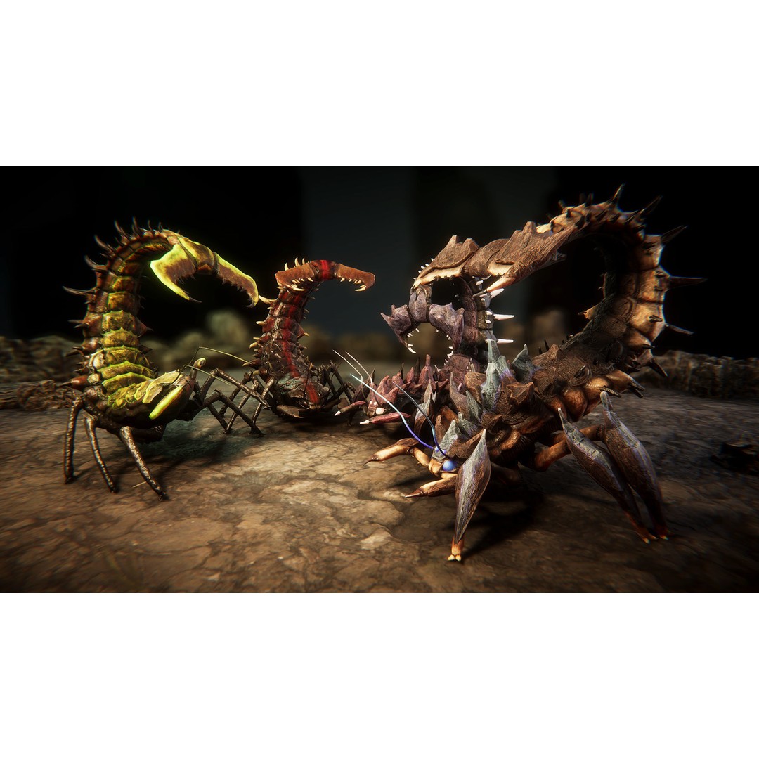 Insect Beasts 3D Model – Low Poly Animated Creatures, FBX - View 4