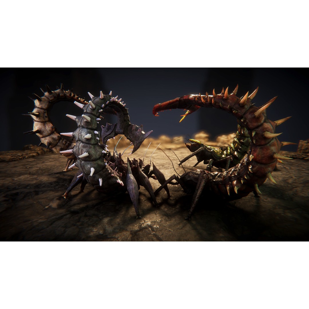 Insect Beasts 3D Model – Low Poly Animated Creatures, FBX - View 5