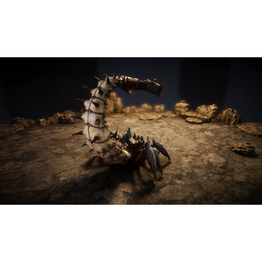 Insect Beasts 3D Model – Low Poly Animated Creatures, FBX - View 7