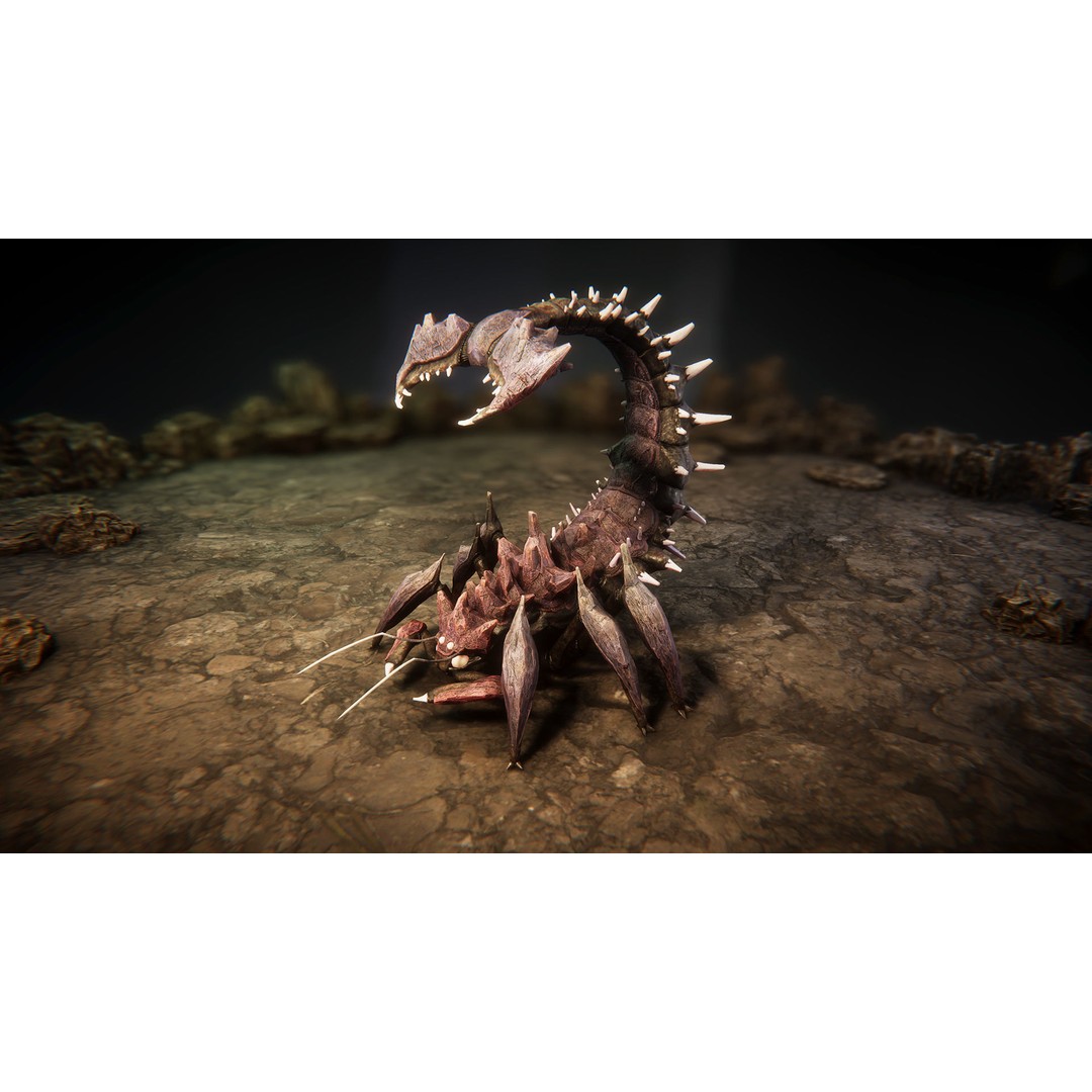 Insect Beasts 3D Model – Low Poly Animated Creatures, FBX - View 8