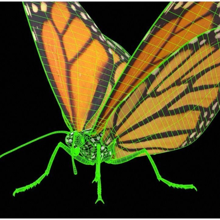 Monarch Butterfly 3D Model – Low Poly PBR Game Asset, FBX/OBJ