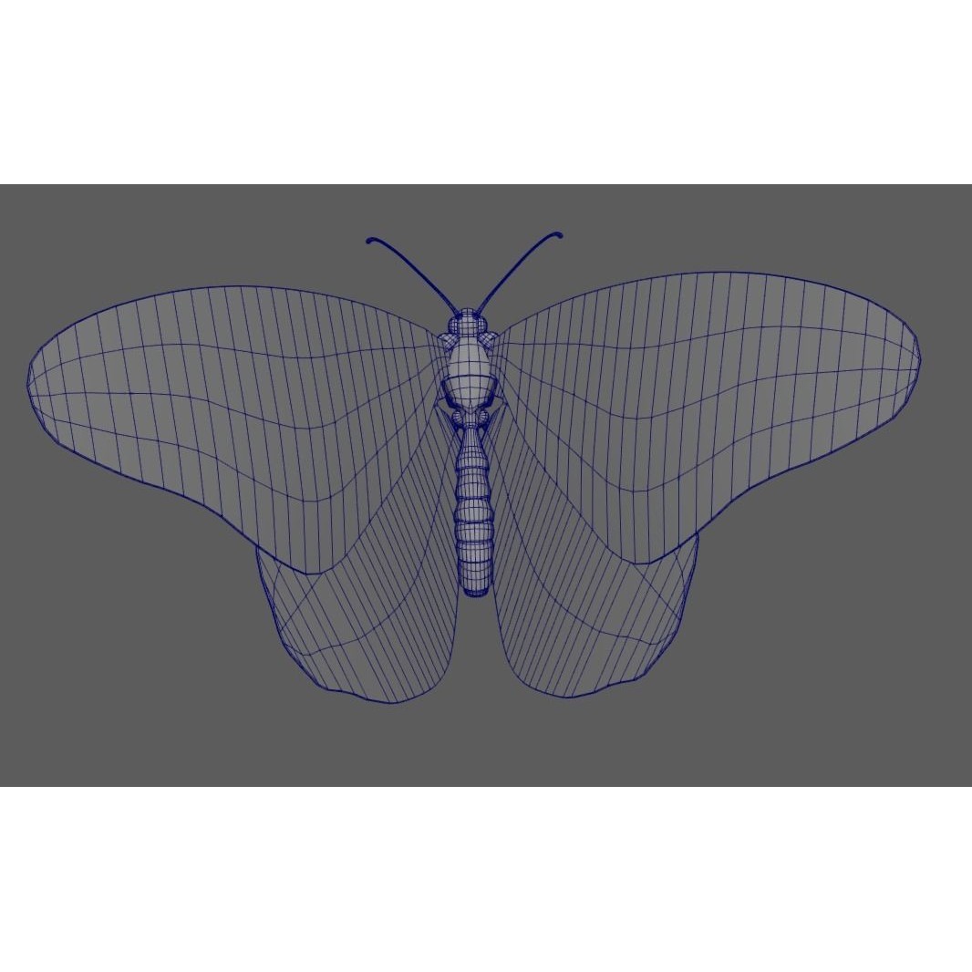 Monarch Butterfly 3D Model – Low Poly PBR Game Asset, FBX/OBJ - View 10