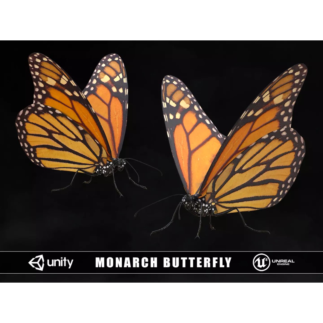 Monarch Butterfly 3D Model – Low Poly PBR Game Asset, FBX/OBJ - View 2