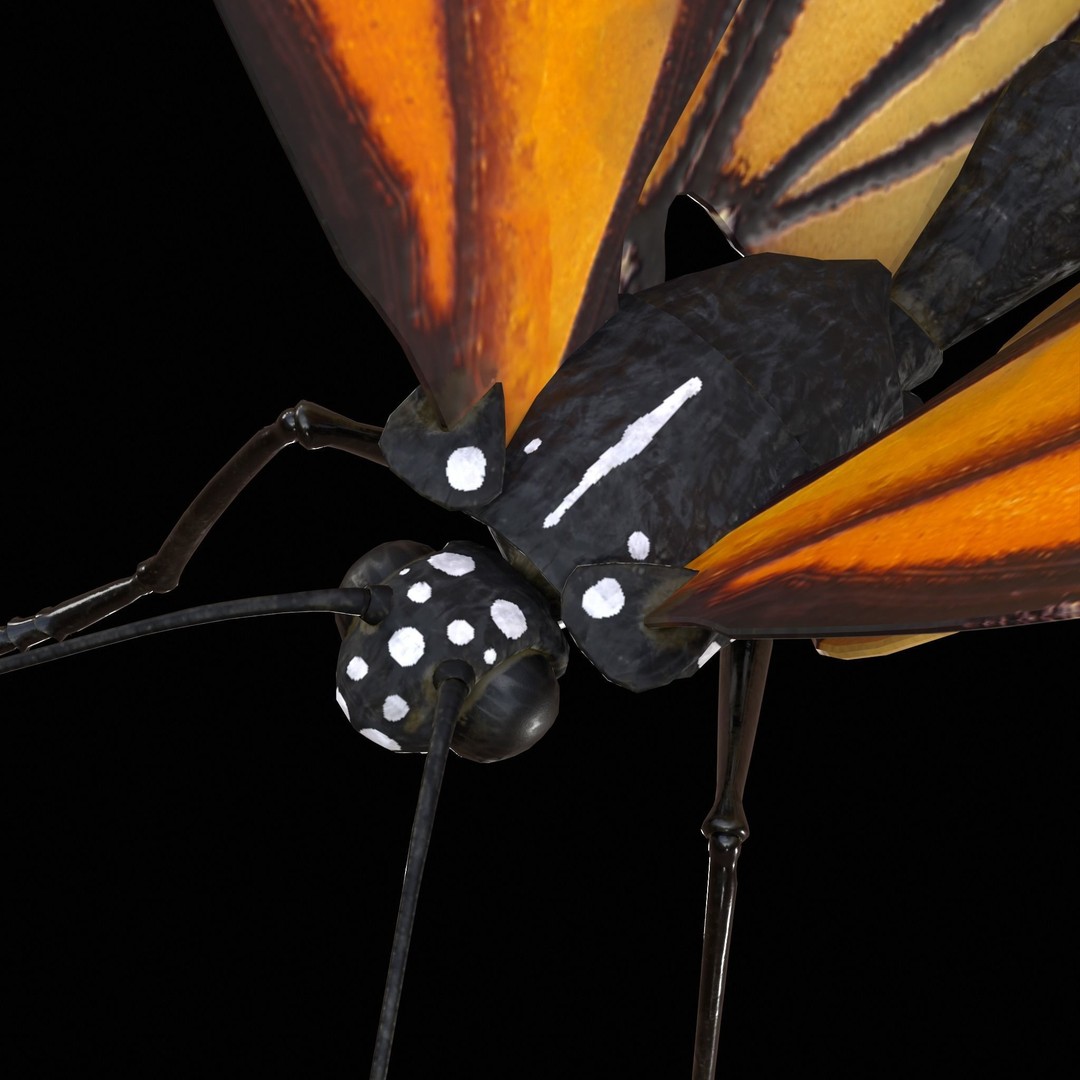 Monarch Butterfly 3D Model – Low Poly PBR Game Asset, FBX/OBJ - View 7