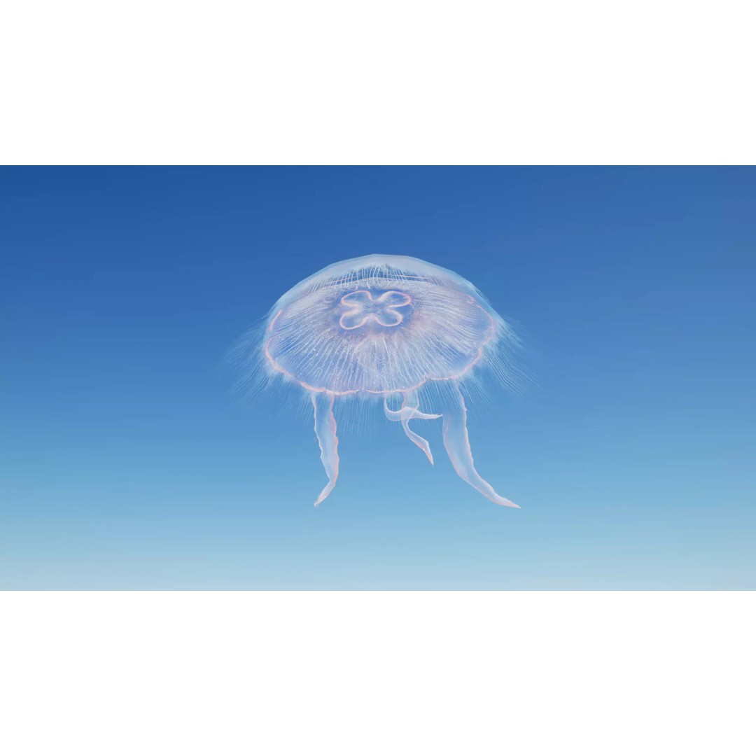 Moon Jellyfish 3D Model – Low Poly Game Asset, FBX, PBR Textures - View 18