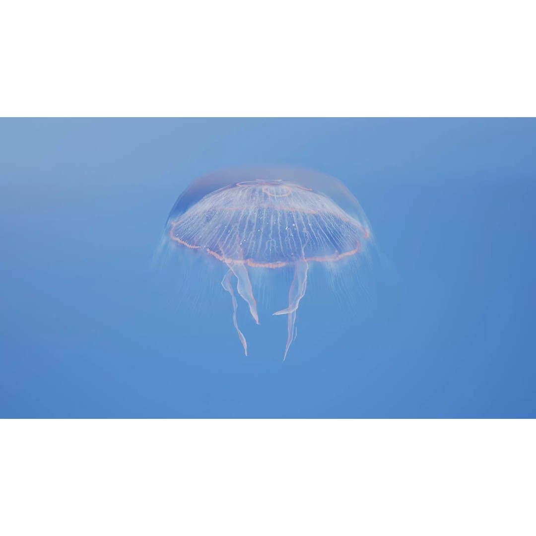 Moon Jellyfish 3D Model – Low Poly Game Asset, FBX, PBR Textures - View 19