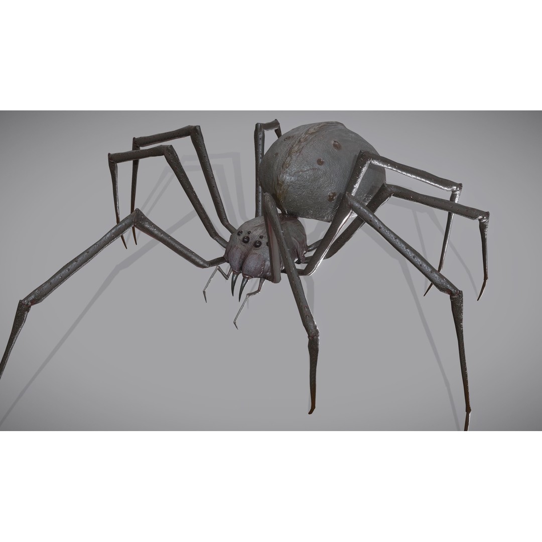 Spider Monster 3D Model – Low Poly Animated Creature, FBX