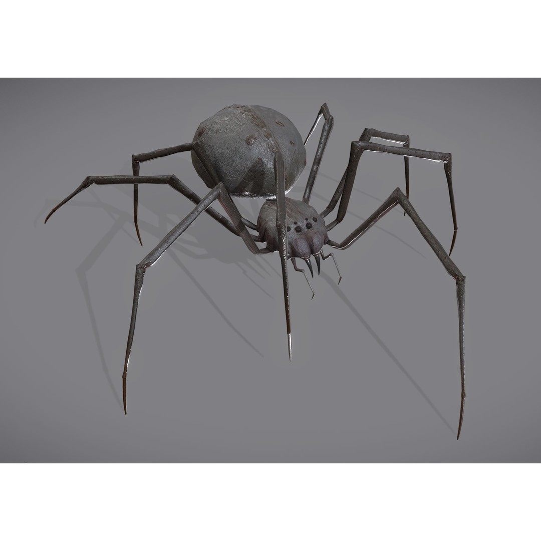 Spider Monster 3D Model – Low Poly Animated Creature, FBX - View 12