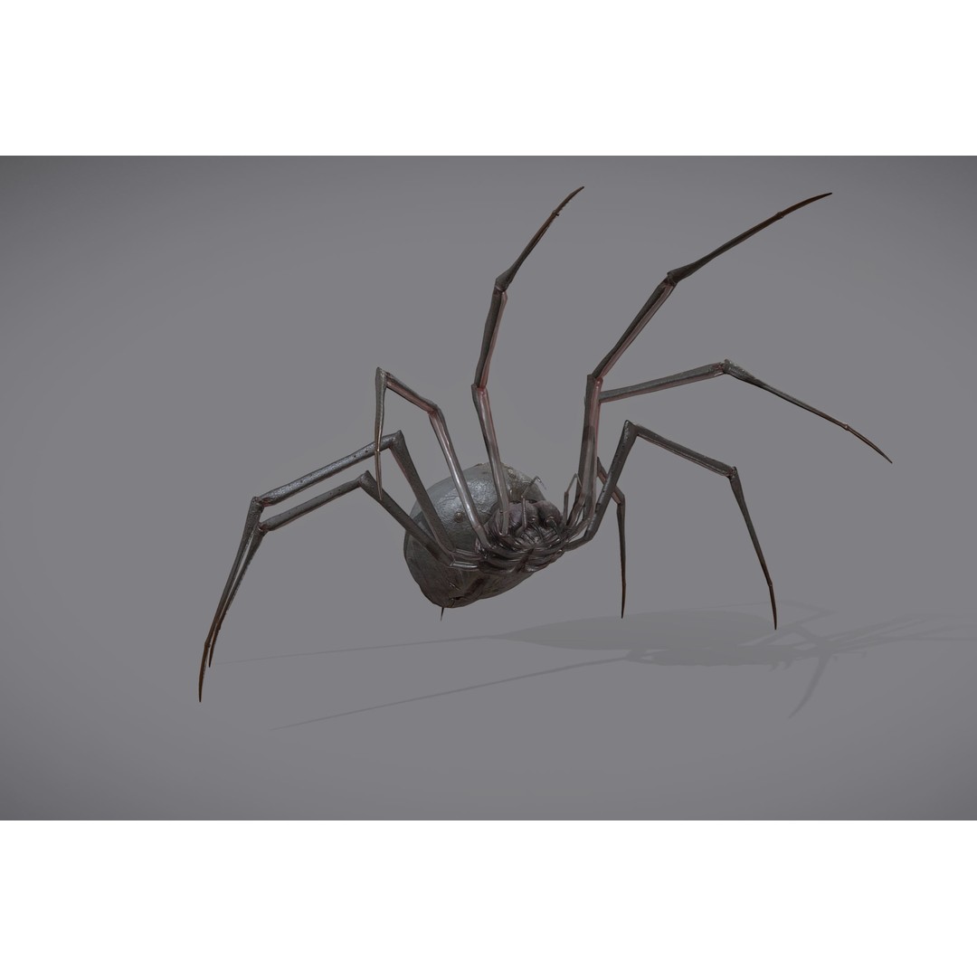 Spider Monster 3D Model – Low Poly Animated Creature, FBX - View 14