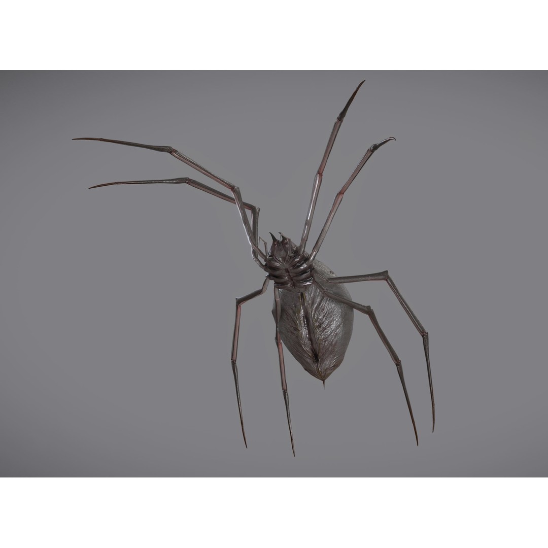 Spider Monster 3D Model – Low Poly Animated Creature, FBX - View 15