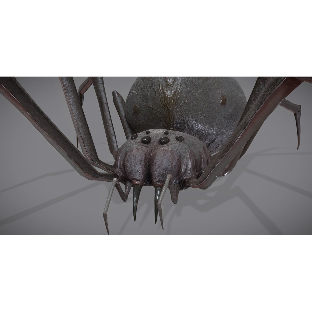Spider Monster 3D Model – Low Poly Animated Creature, FBX - View 16