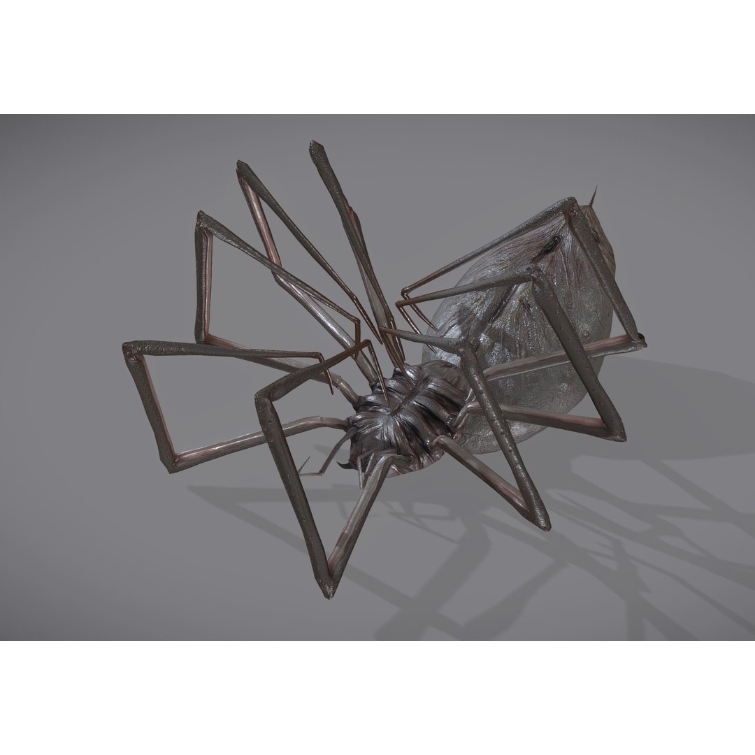 Spider Monster 3D Model – Low Poly Animated Creature, FBX - View 17