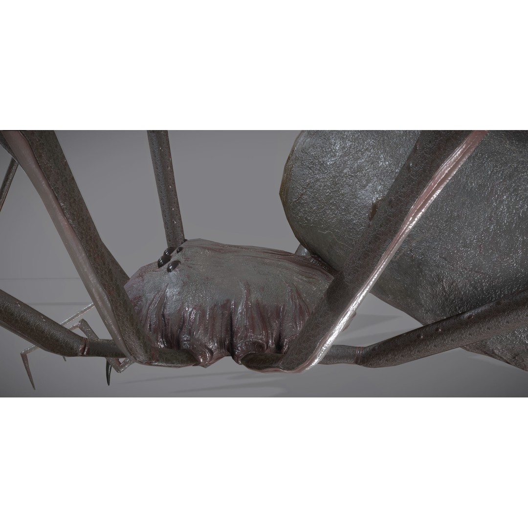 Spider Monster 3D Model – Low Poly Animated Creature, FBX - View 19