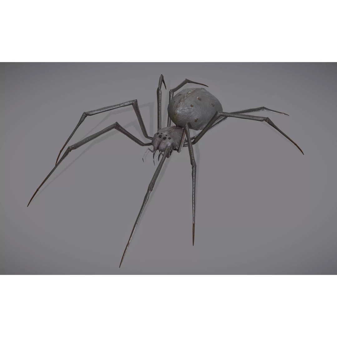 Spider Monster 3D Model – Low Poly Animated Creature, FBX - View 2