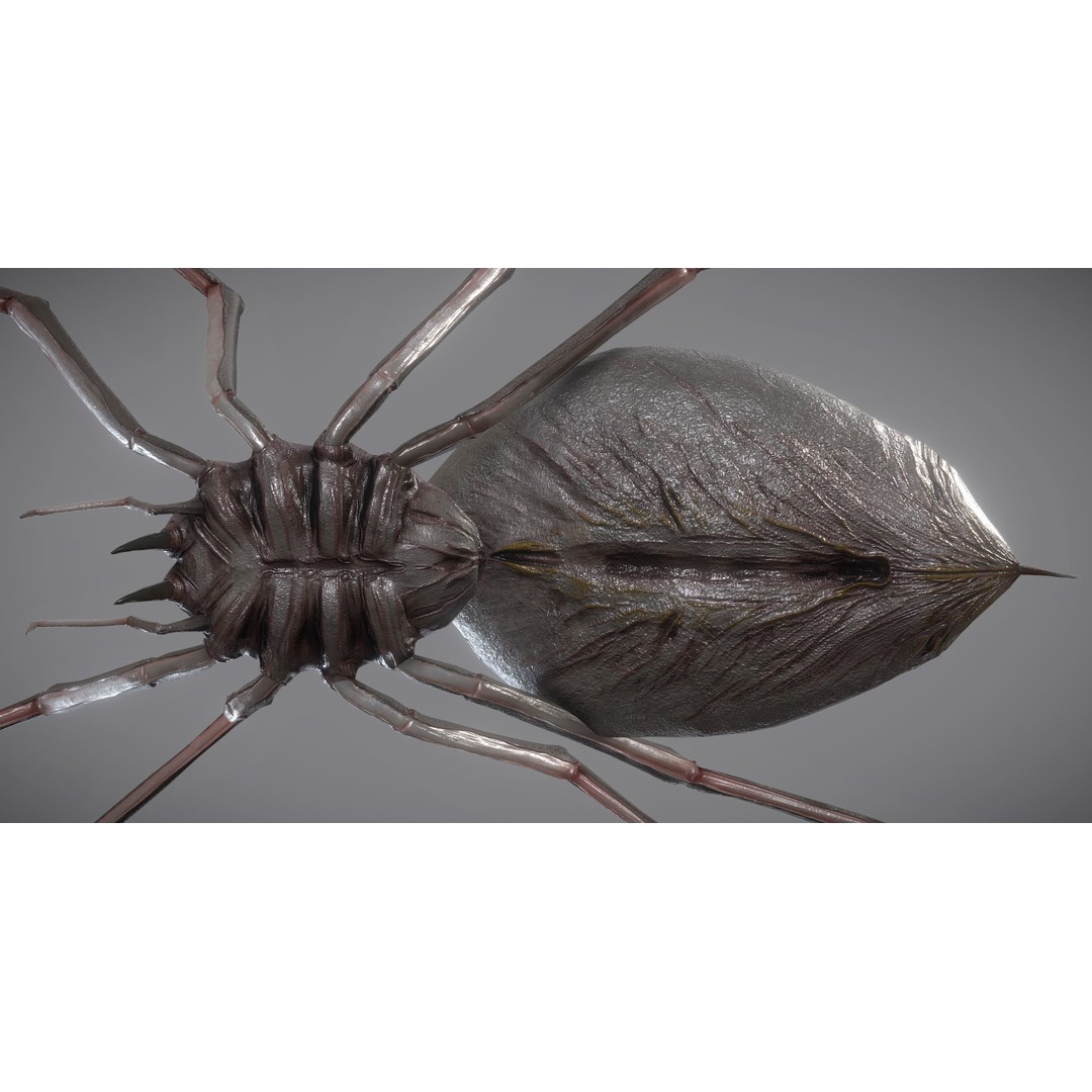 Spider Monster 3D Model – Low Poly Animated Creature, FBX - View 20